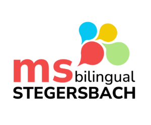 LOGO NMS